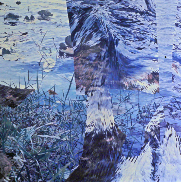 Torn Lake II by Bruce Marsh