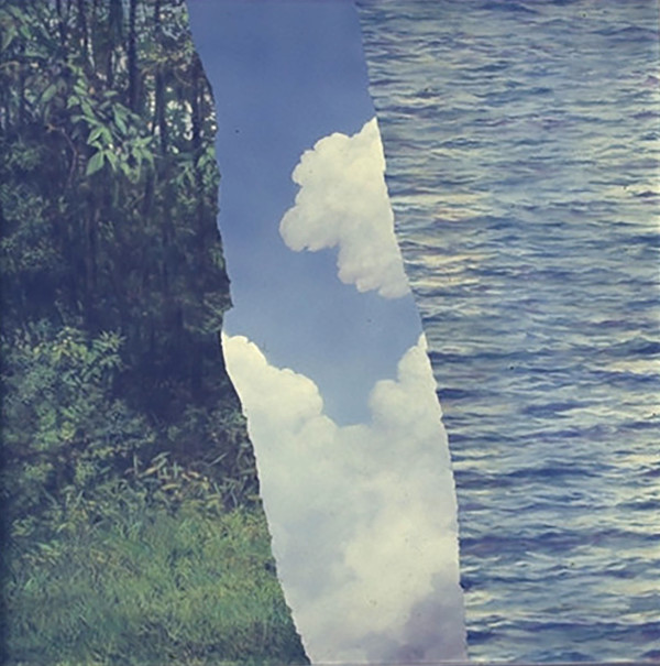 Woods Cloud Sea