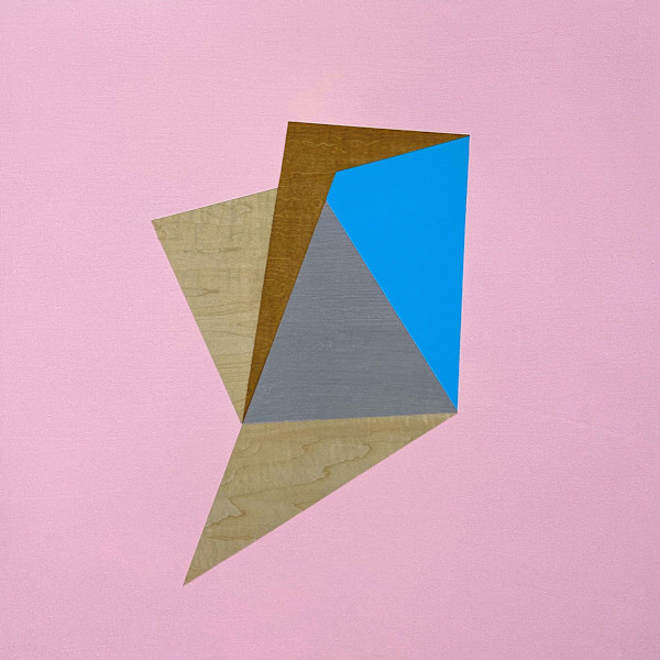 The Delicate Breakdown by Shawn Camp