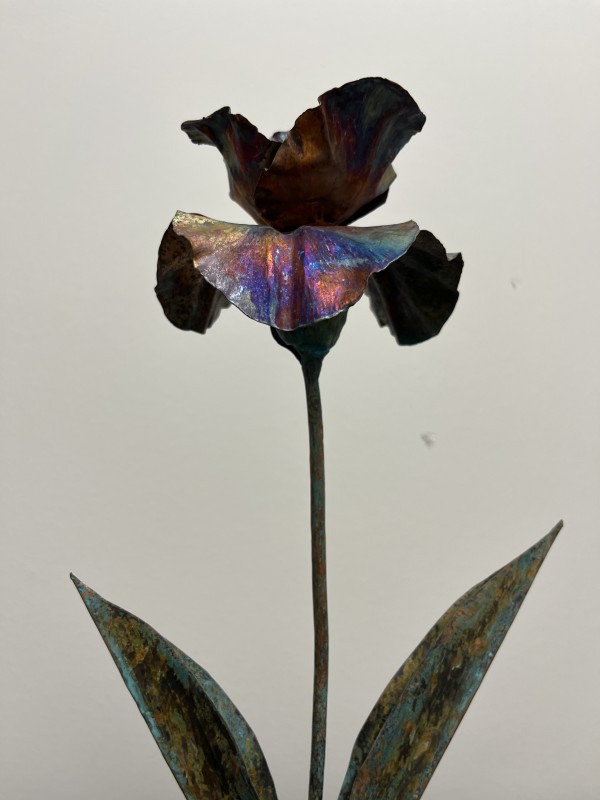 Copper Iris by Mary Jo Emrick