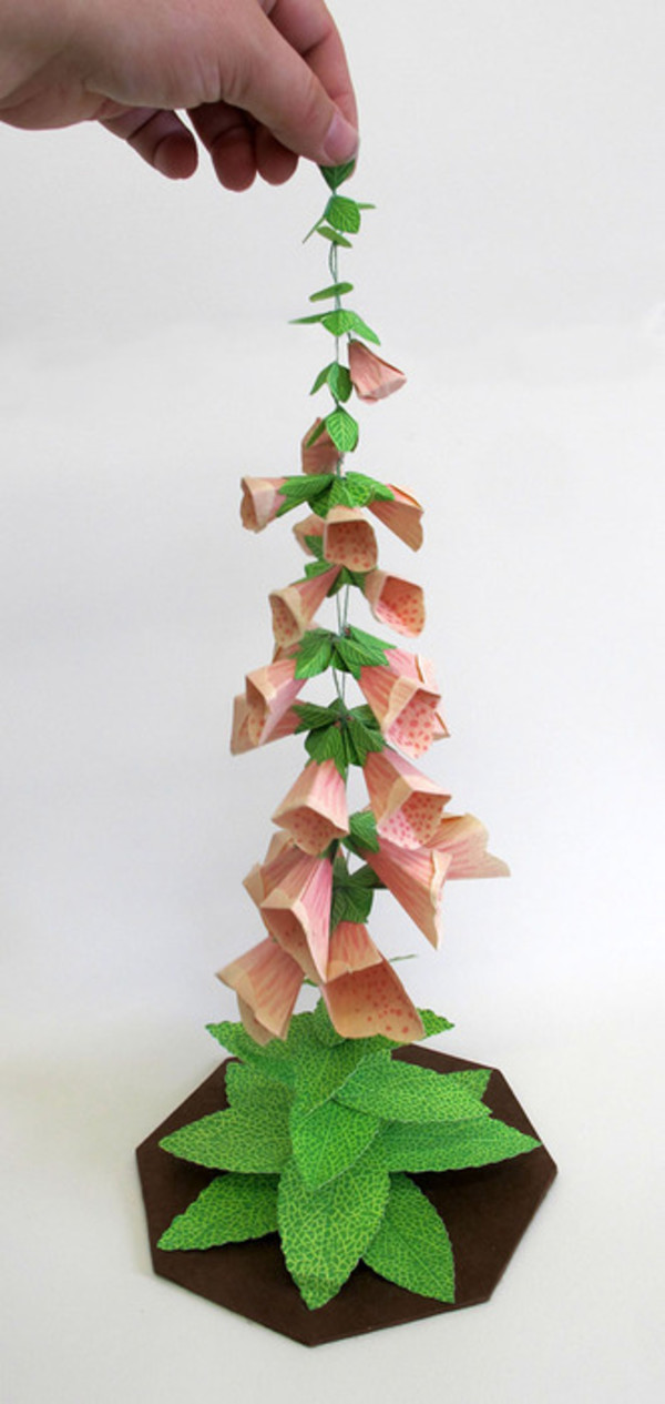 Foxglove by Jennifer Scheuer