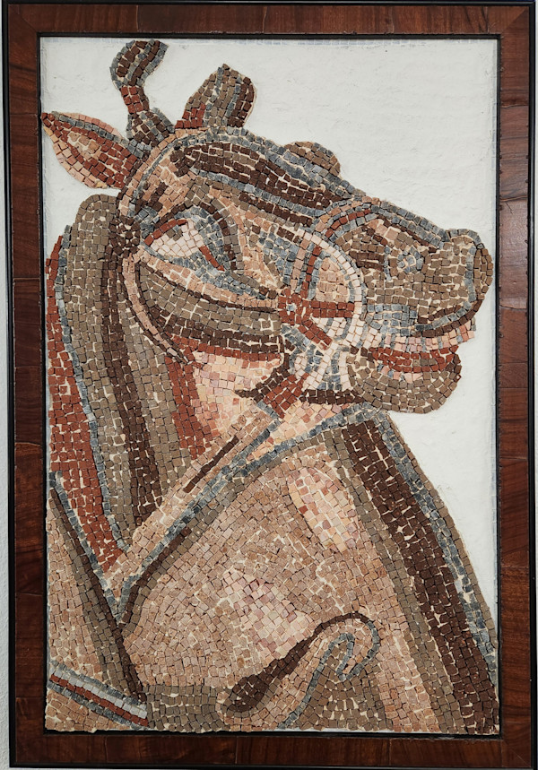 Alexander Horse from Pompeii by Pam