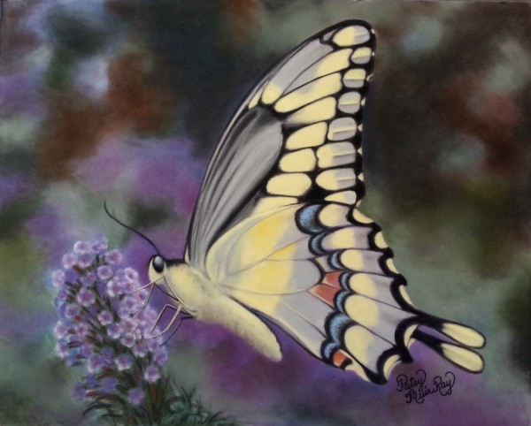Wing Tale by Patsy Ruth Kroeckel