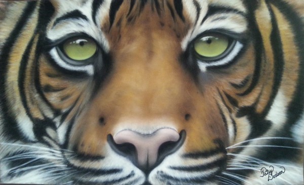 Watchful Beauty by Patsy Ruth Kroeckel