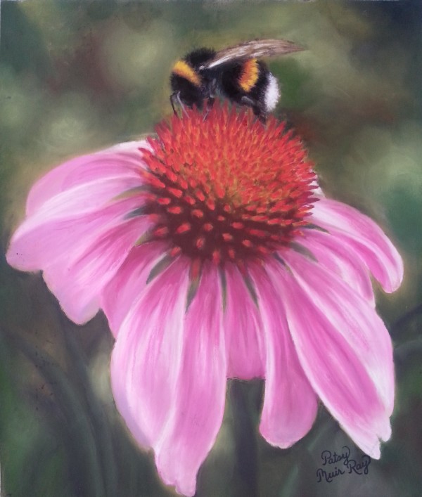 Buzz by Patsy Ruth Kroeckel