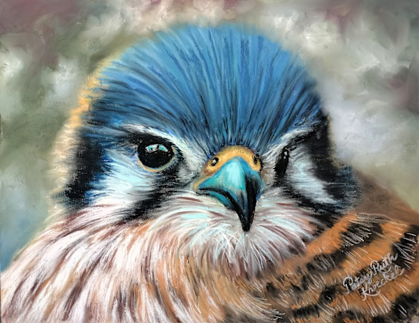 American Kestrel by Patsy Ruth Kroeckel