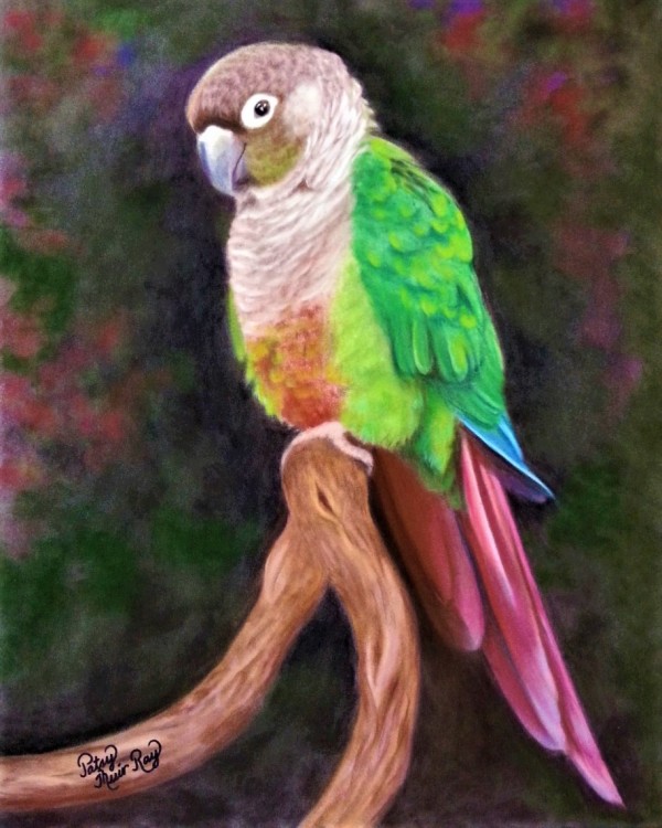 Little Blue Feather by Patsy Ruth Kroeckel