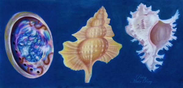 Treasures of the Sea by Patsy Ruth Kroeckel