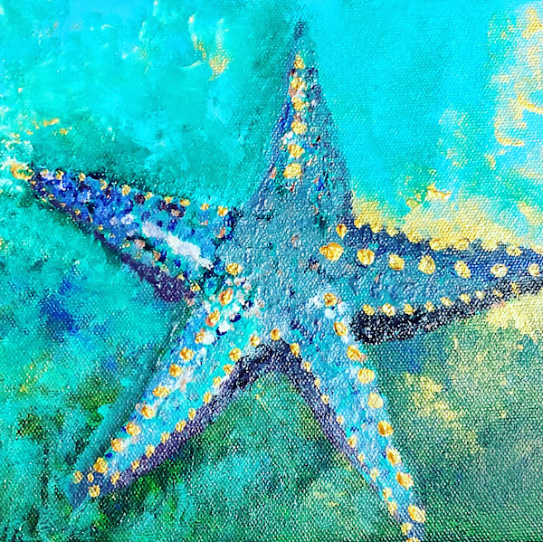 Blue Starfish by Sheila Gambino