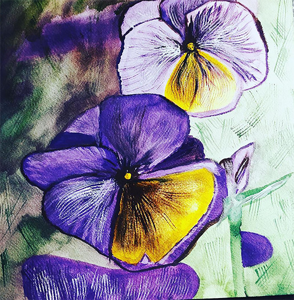Garden Pansies by Sheila Gambino