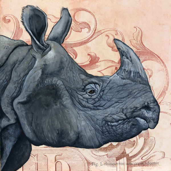 rhinoceros unicornis adornis by bryan holland arts