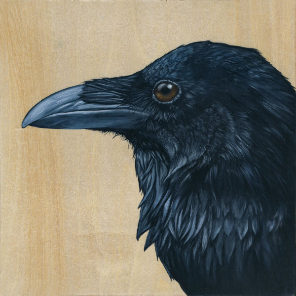 maddox by bryan holland arts