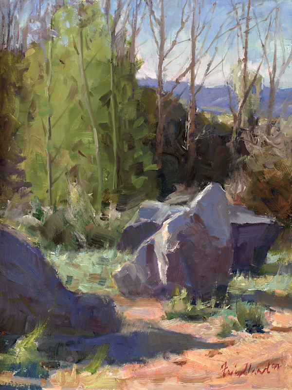 A Boulder Image by Howard B Friedland