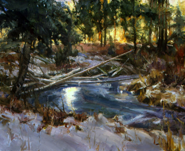 Porcupine Drainage by Howard B Friedland