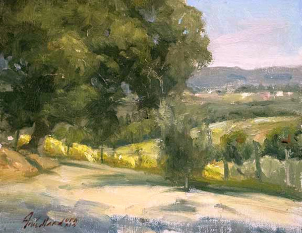 Tuscan Vineyard