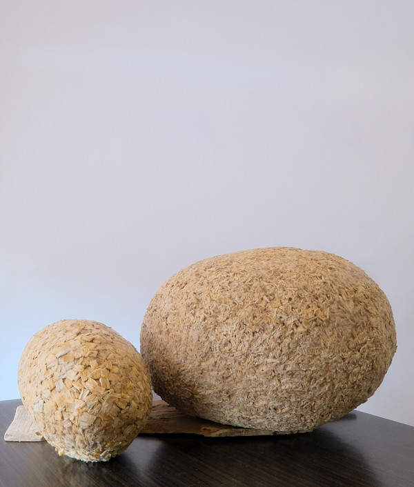 Doughnut and Egg by Amarachi Okafor (Orie)