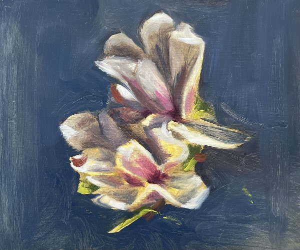 "Tulip Magnolias"