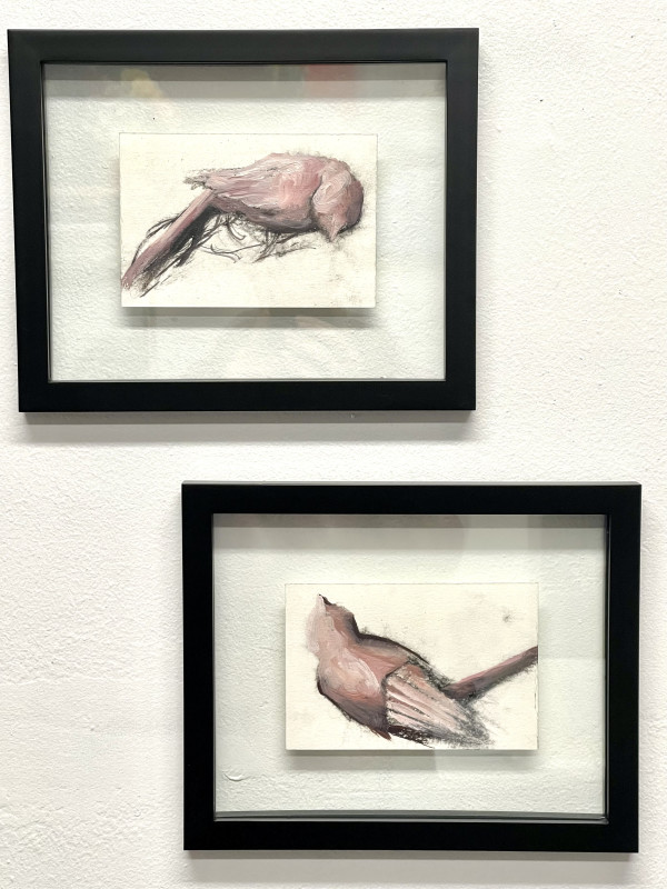 Pink bird duo - framed by Angee Montgomery