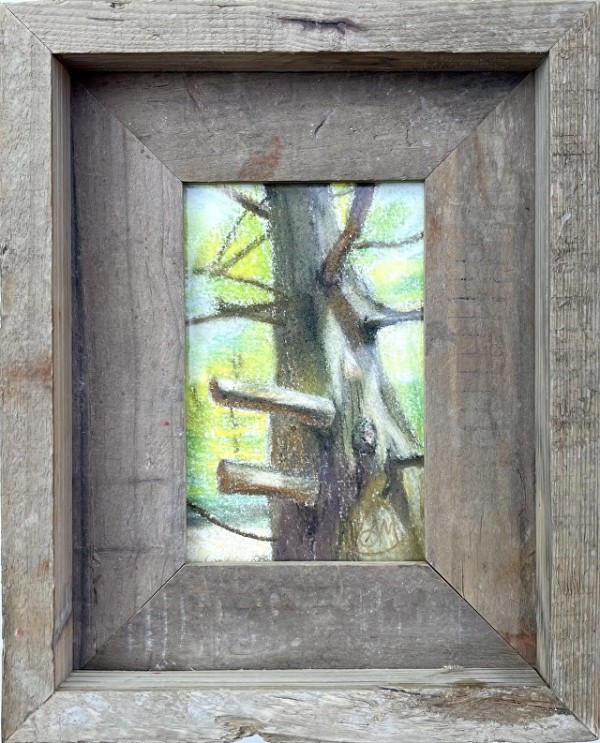 Cedar Tree by Angee Montgomery
