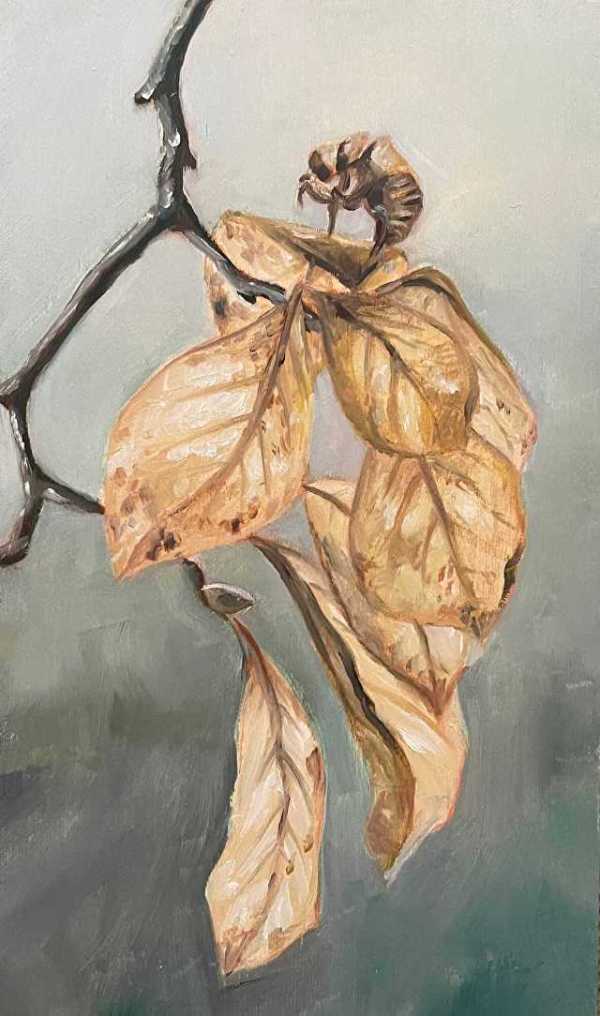 Fall Leaves & Spring Cicada by Angee Montgomery