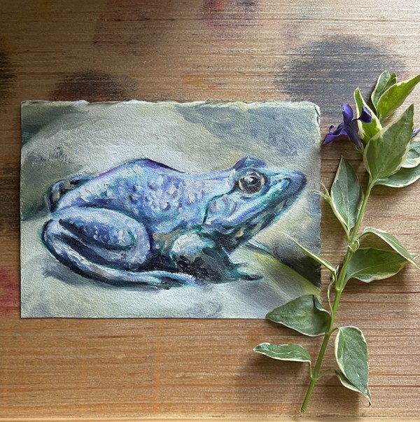 Iridescent Frog by Angee Montgomery