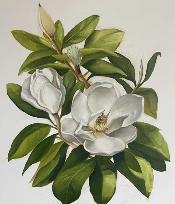 Magnolia Grandiflora by Angee Montgomery