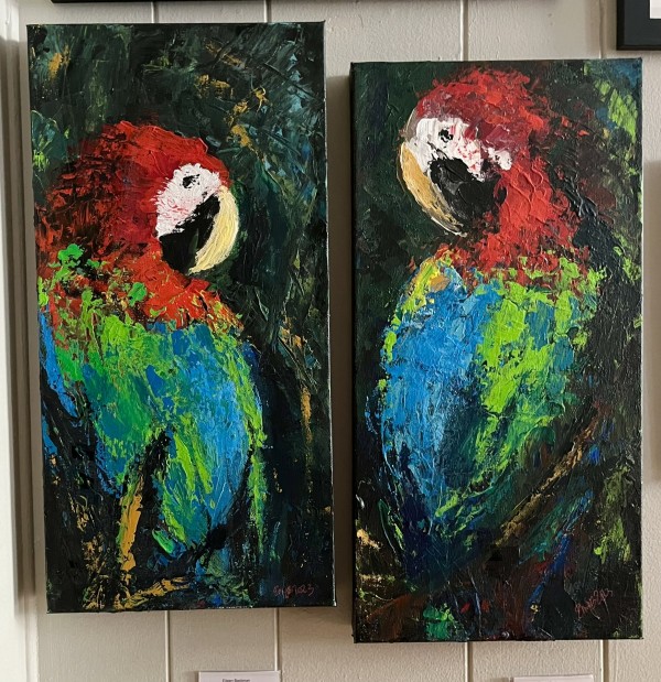 Red and Green Macaw 1 and 2 by Eileen Backman