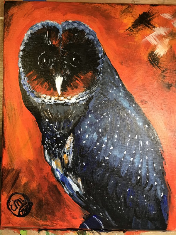 Portrait of a Black Barn Owl by Eileen Backman