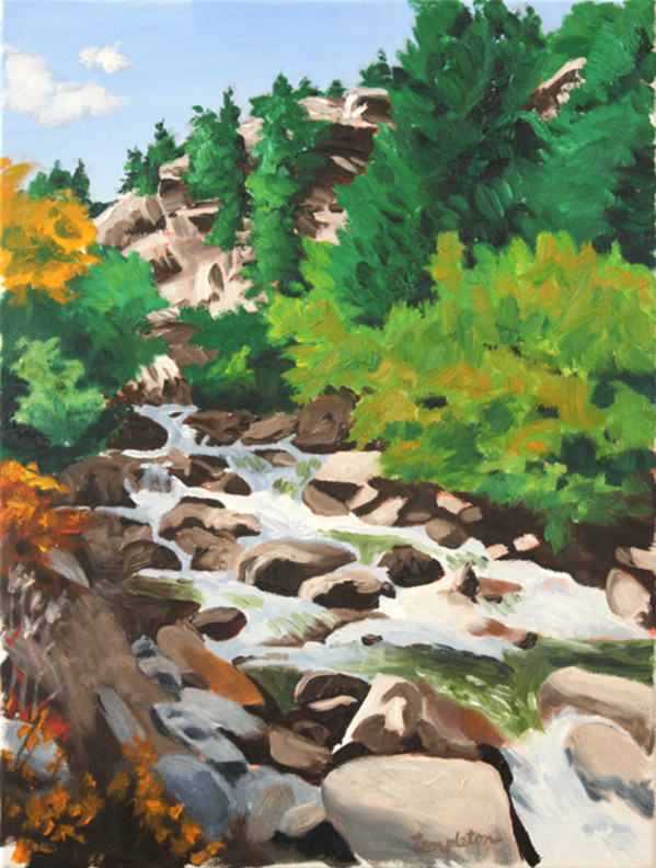 Rocky Mountain Stream by Dave Templeton