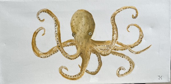 Octopus by Jim Hoehn