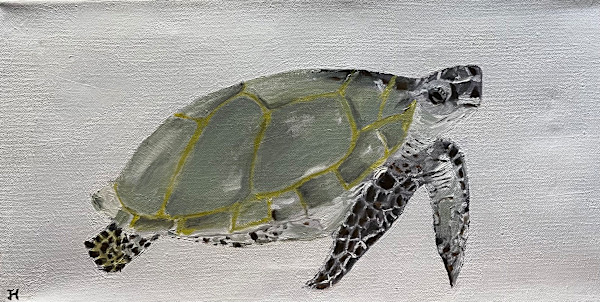 Turtle by Jim Hoehn