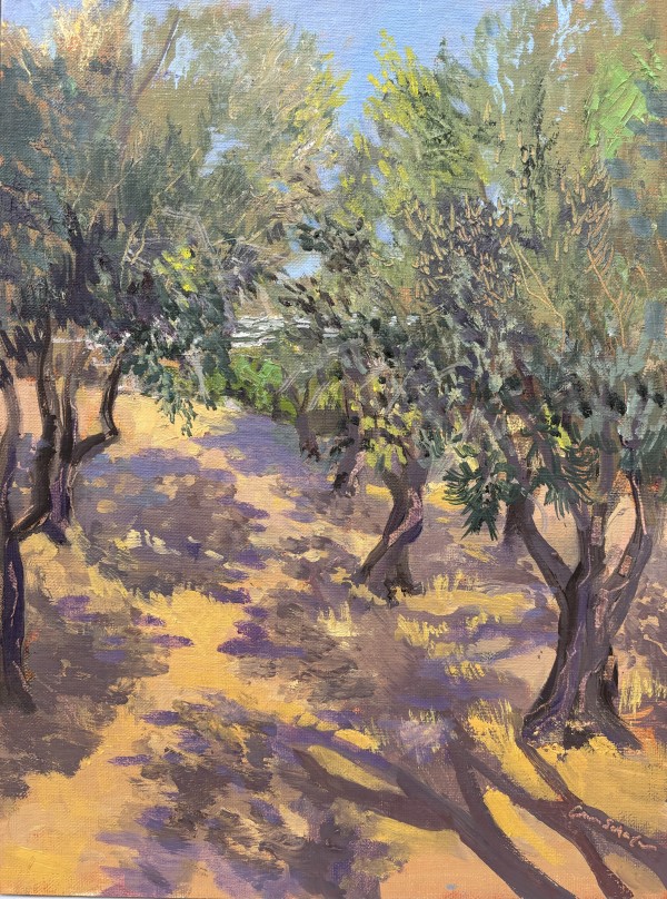 Olive Grove Shade by Ann Schaefer