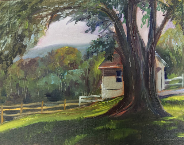 Braddock Heights Shade by Ann Schaefer