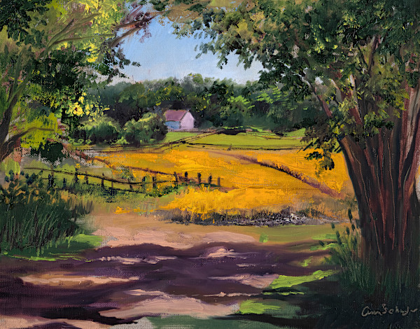 Golden Fields by Ann Schaefer