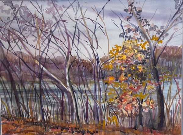 Overlooking the Potomac by Ann Schaefer