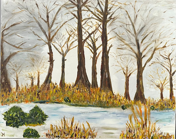 Winter Forest by Jim Hoehn