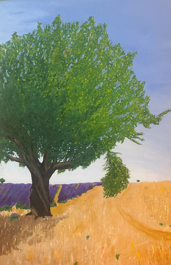 Almond Tree in Lavender Field by Jim Hoehn