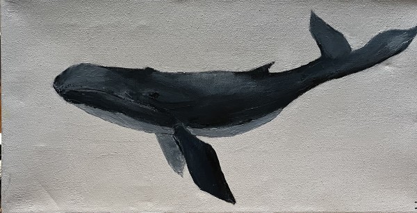 Baleen whale by Jim Hoehn