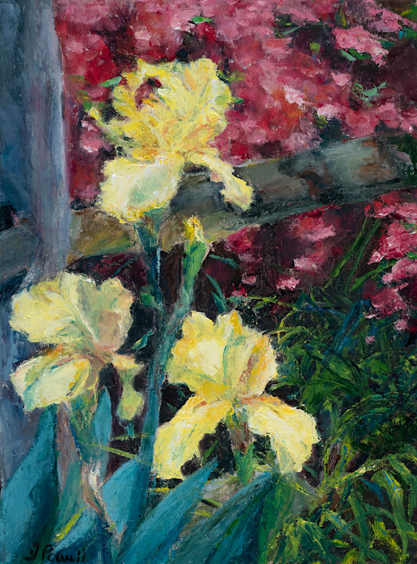 May Bloom by Jeanne Powell