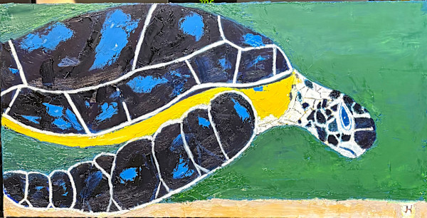 Sea Turtle by Jim Hoehn