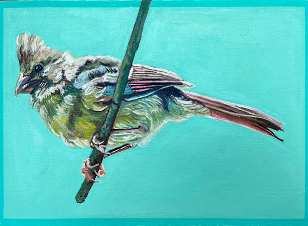 Female Cardinal on Teal by Jamie Downs