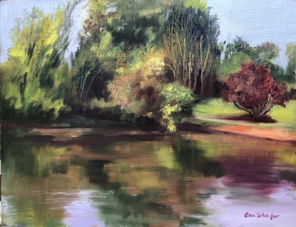 Pond Reflections by Ann Schaefer