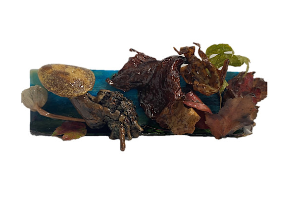 Artist View by Anastasia Walsh, Image 1.