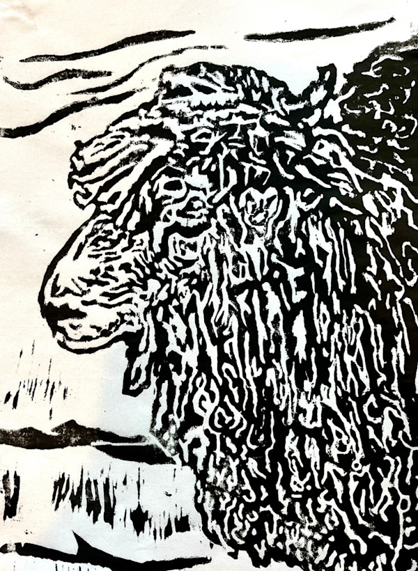 Winter Sheep by Jamie Downs