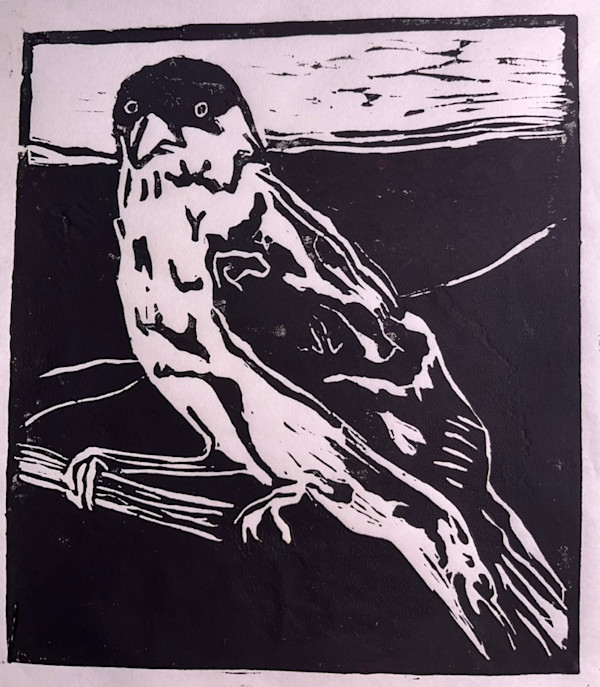 Goldfinch by Jamie Downs
