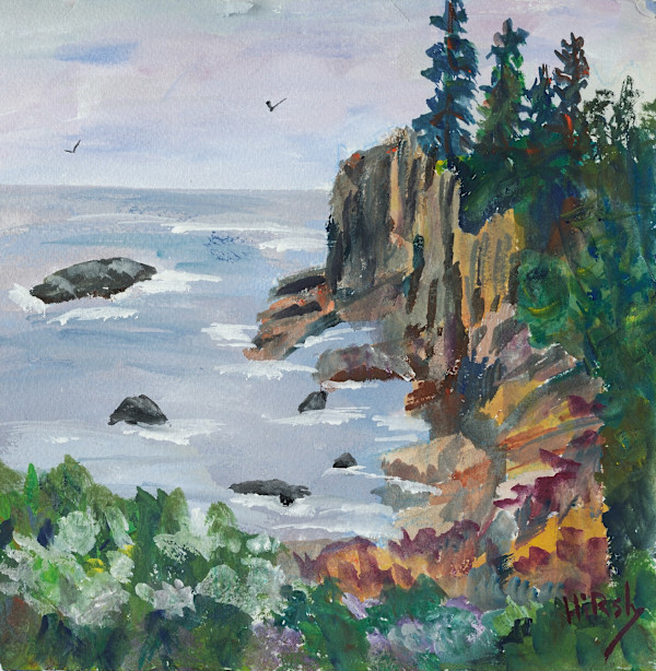 Bird's Eye View by Cathy Hirsh