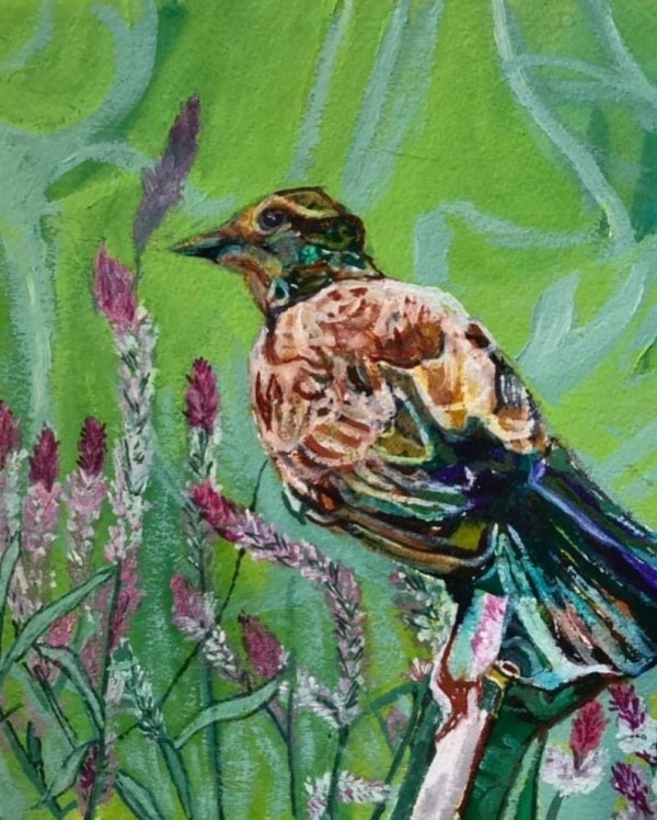 Thrush in the Meadow by Jamie Downs
