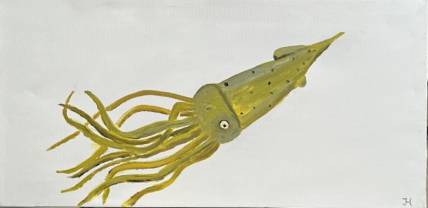 Squid by Jim Hoehn