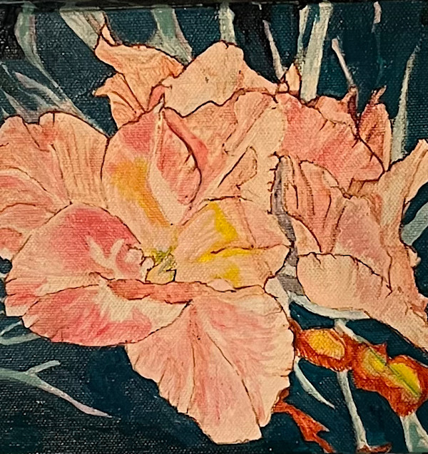 Gladiolus by Jamie Downs