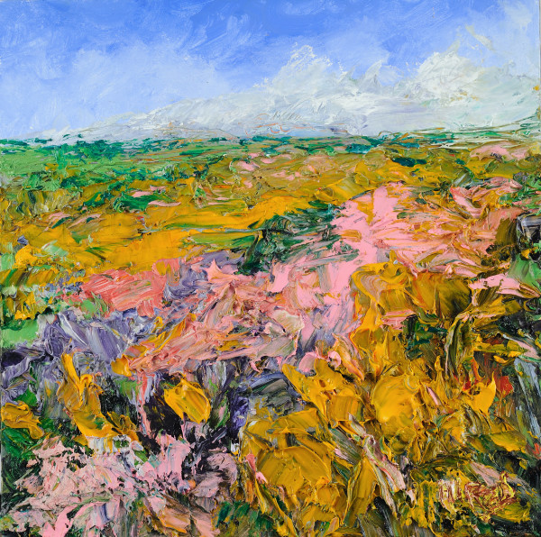 Field in Bloom by Cathy Hirsh